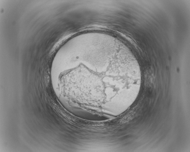 X0000058781363200510211737