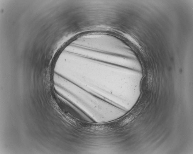 X0000058781364200510211737