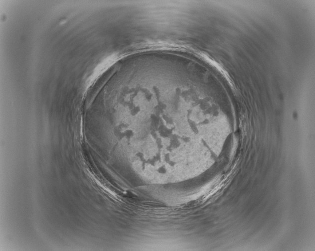 X0000058781365200510211737