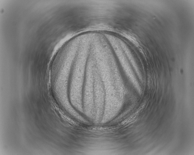 X0000058781366200510211737