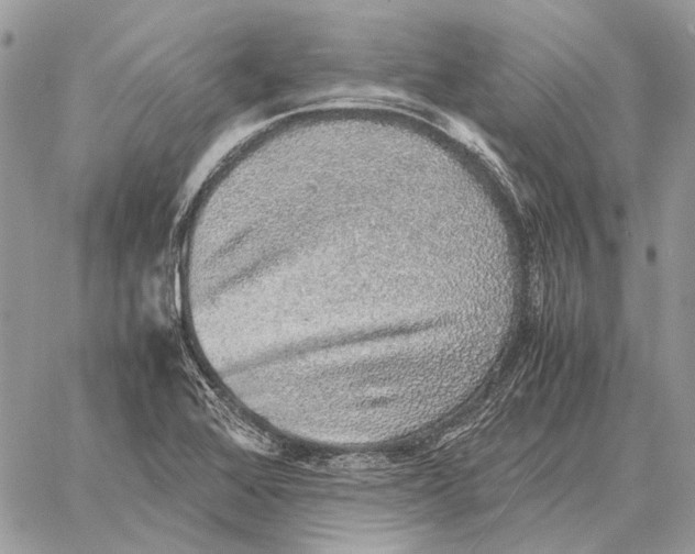 X0000058781368200510211737