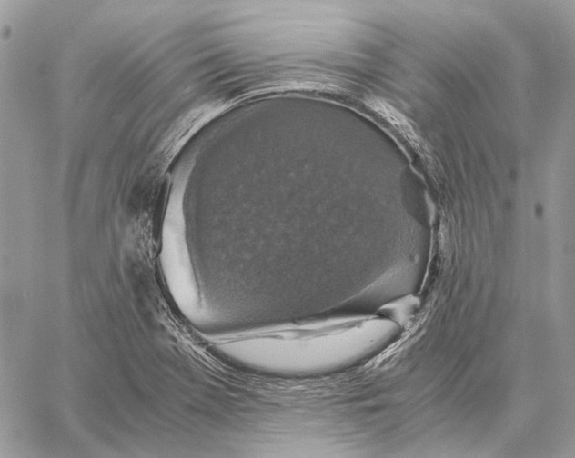 X0000058781369200510211737