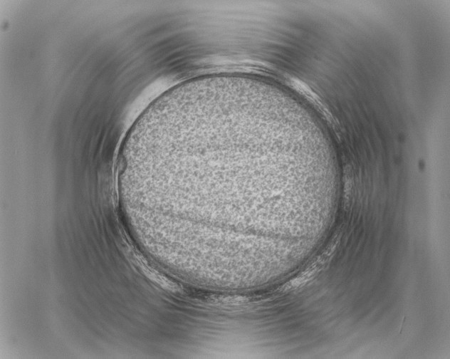 X0000058781370200510211737