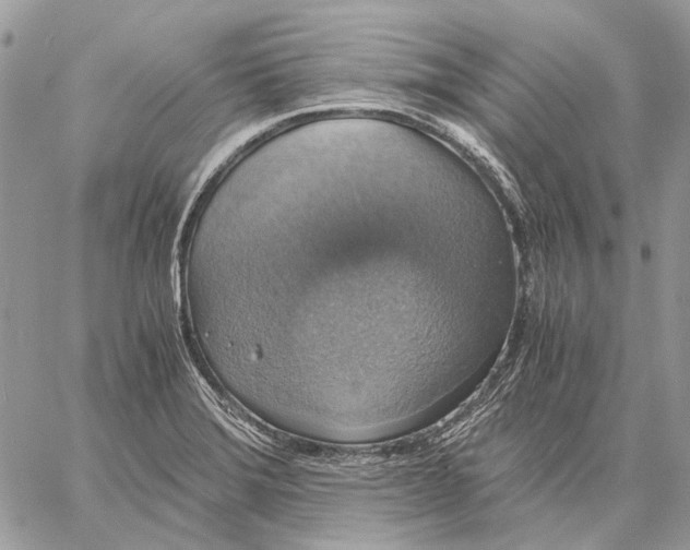 X0000058781372200510211737