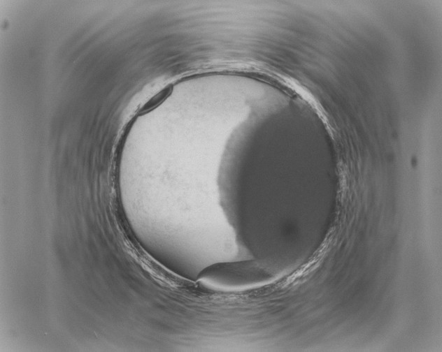 X0000058781373200510211737