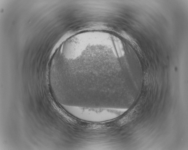 X0000058781374200510211737