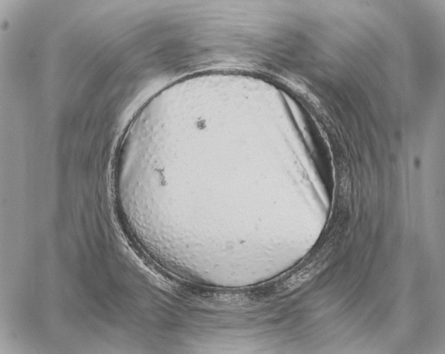 X0000058781375200510211737