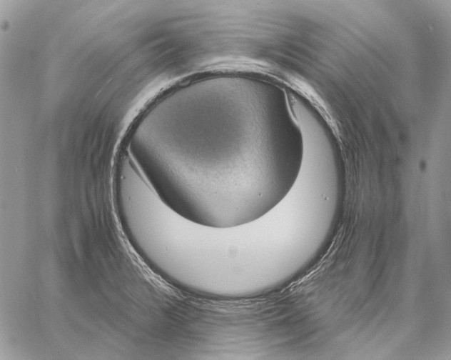 X0000058781376200510211737