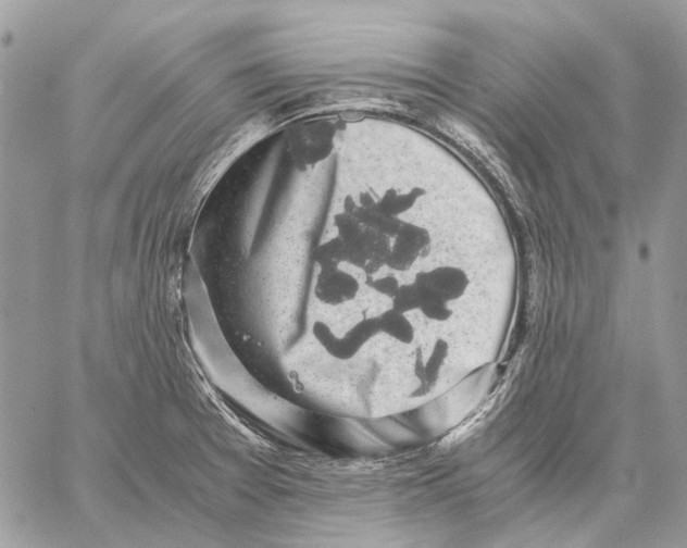 X0000058781377200510211737