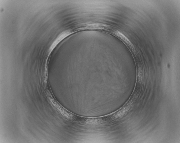 X0000058781378200510211737