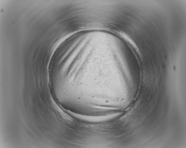 X0000058781380200510211737