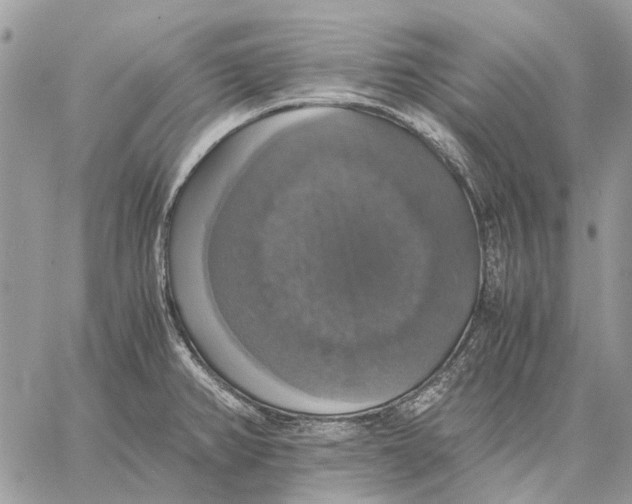 X0000058781382200510211737