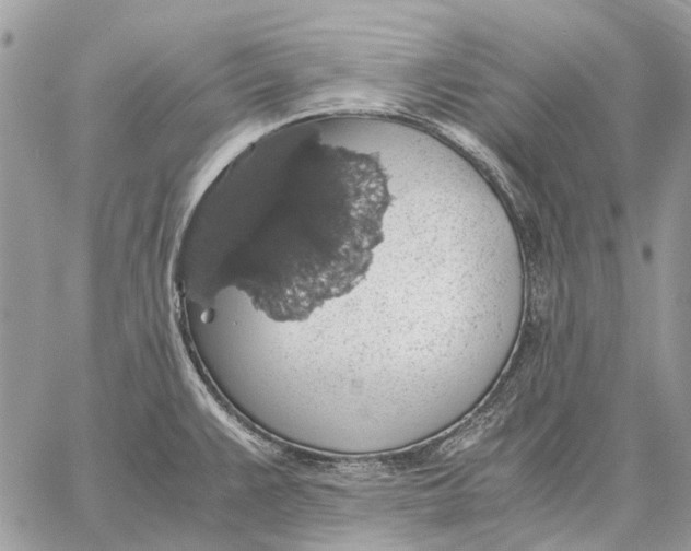 X0000058781383200510211737