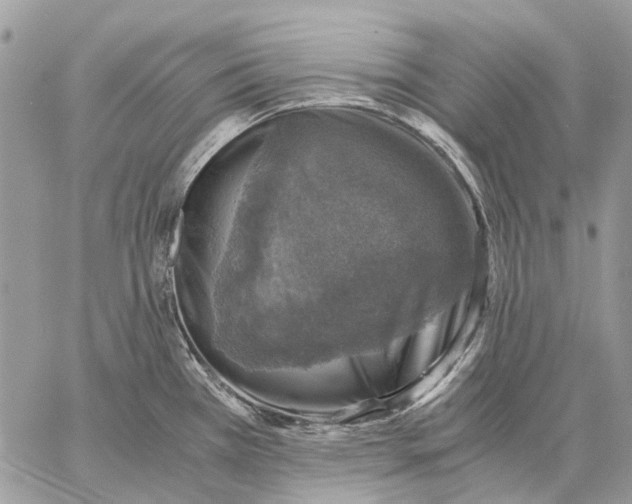 X0000058781385200510211737