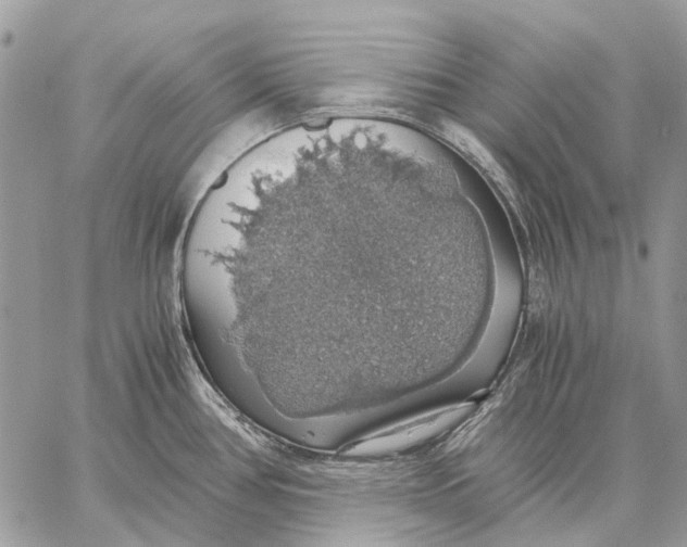 X0000058781386200510211737