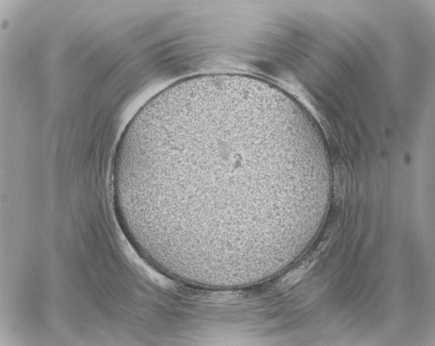 X0000058781387200510211737