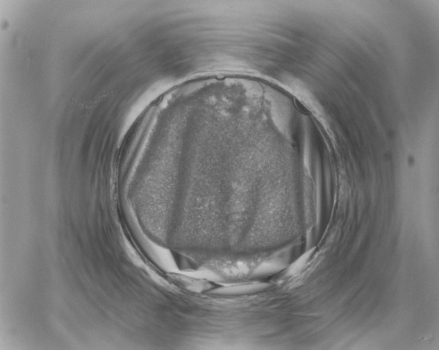 X0000058781390200510211737