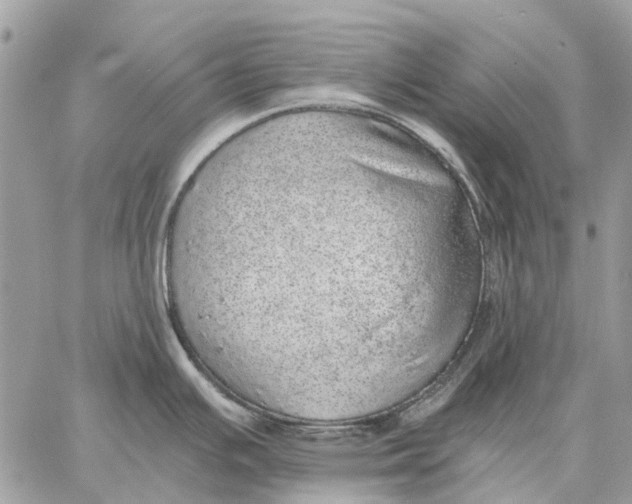 X0000058781391200510211737