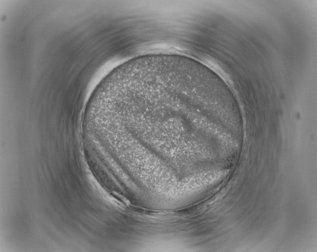 X0000058781392200510211737