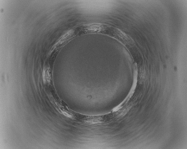 X0000058781394200510211736