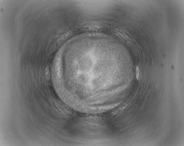 X0000058781395200510211736