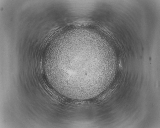 X0000058781396200510211736