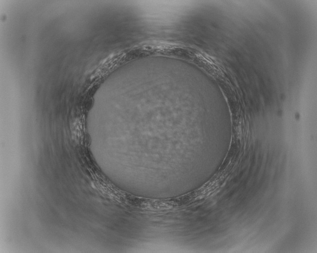 X0000058781397200510211736