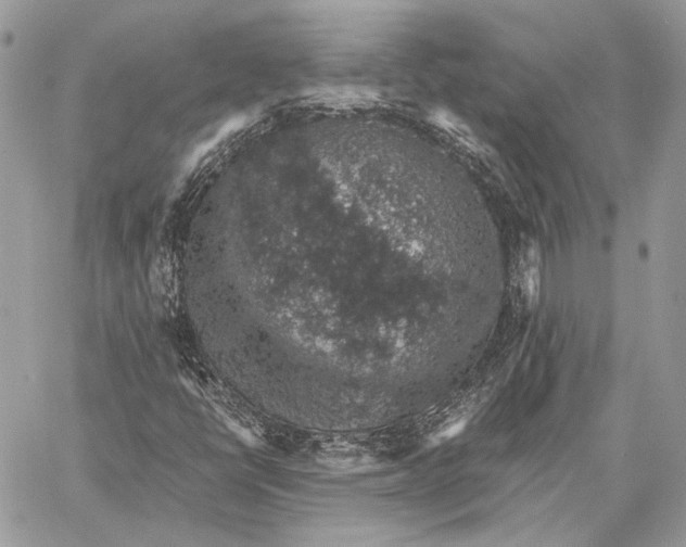 X0000058781398200510211736