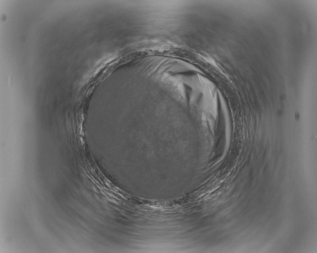 X0000058781399200510211736