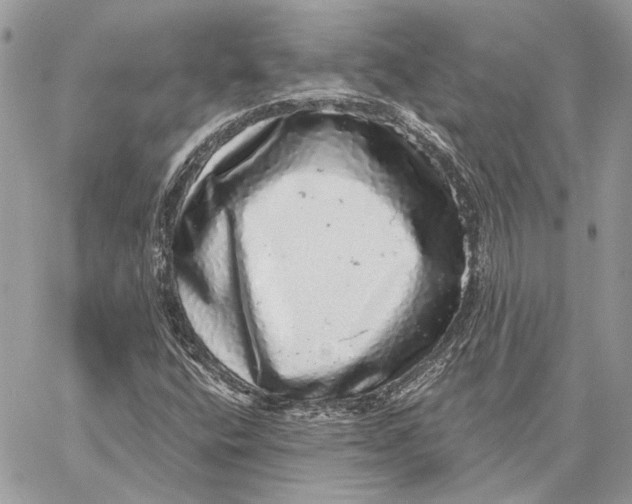 X0000058781400200510211736