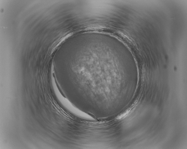 X0000058781401200510211736