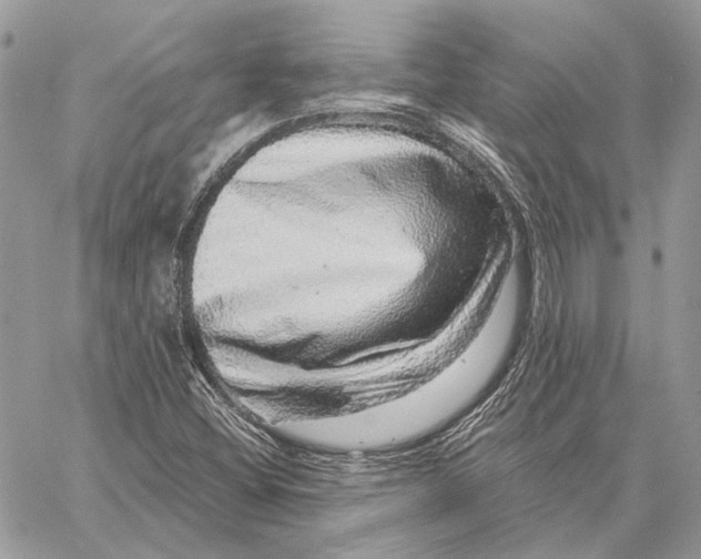 X0000058781404200510211736