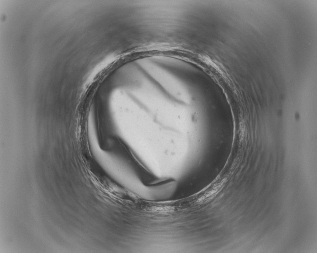 X0000058781406200510211736