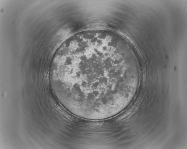 X0000058781409200510211736