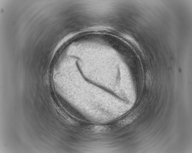 X0000058781412200510211736