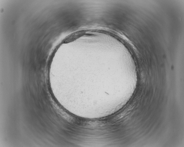 X0000058781416200510211736