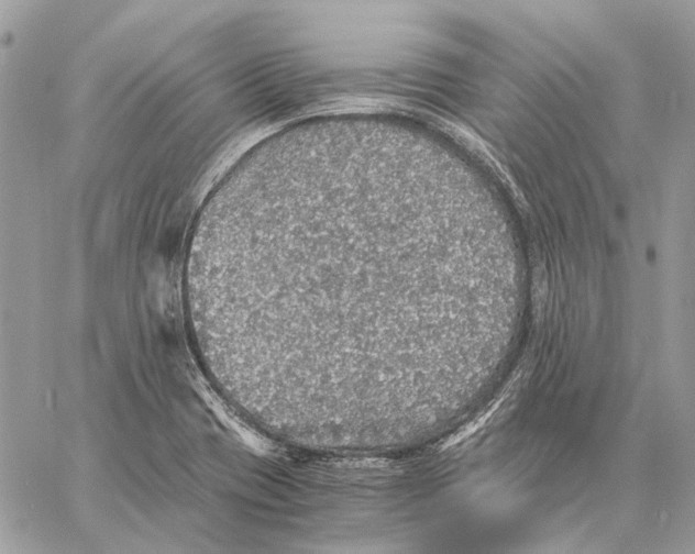 X0000058781417200510211736