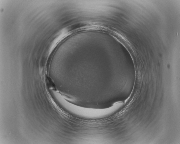 X0000058781418200510211736