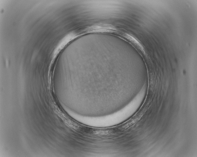 X0000058781419200510211737