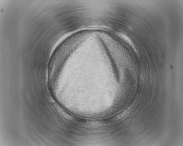 X0000058781420200510211737