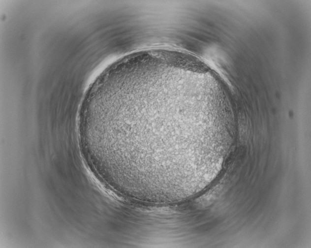 X0000058781422200510211737