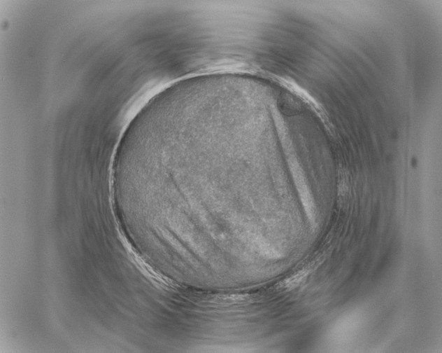 X0000058781423200510211737