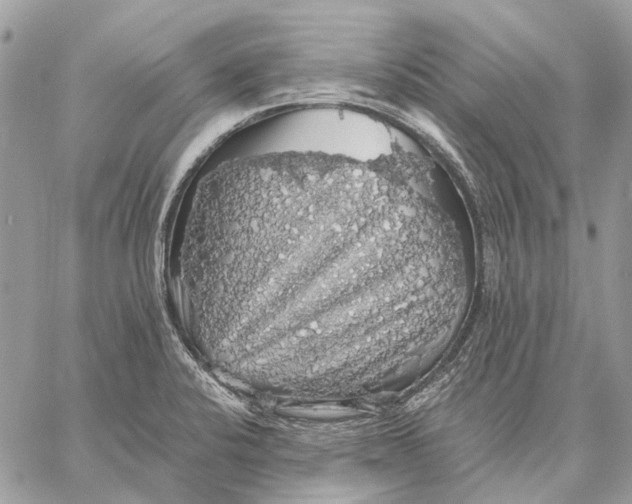 X0000058781424200510211737