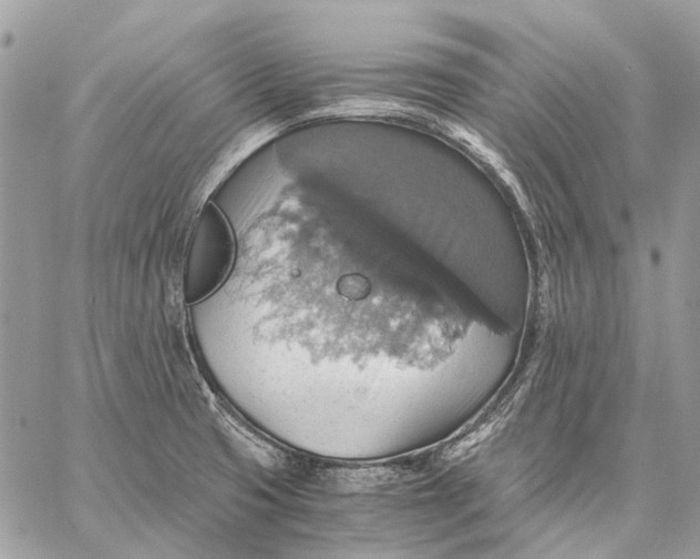 X0000058781425200510211737