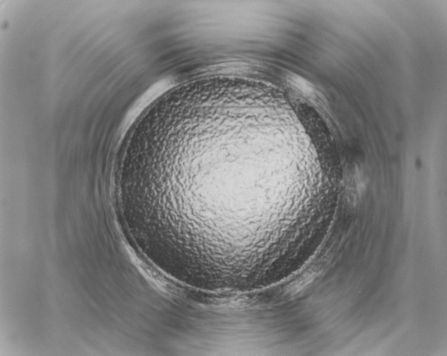 X0000058781426200510211737