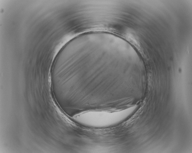 X0000058781428200510211737