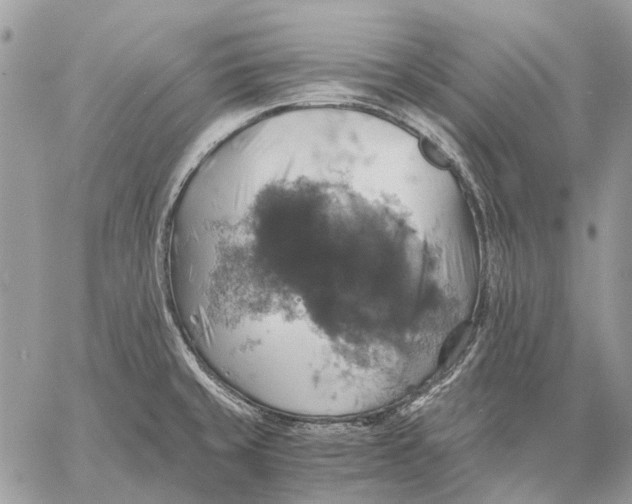 X0000058781429200510211737