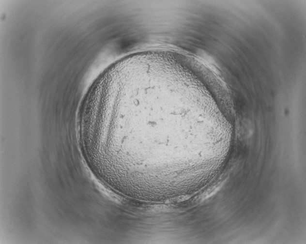 X0000058781430200510211737