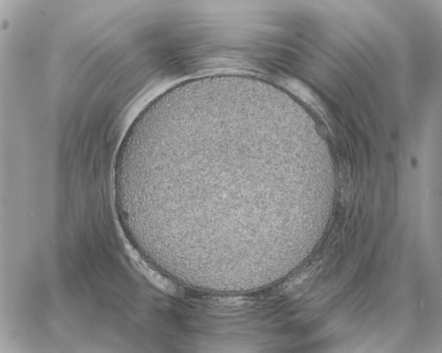 X0000058781431200510211737