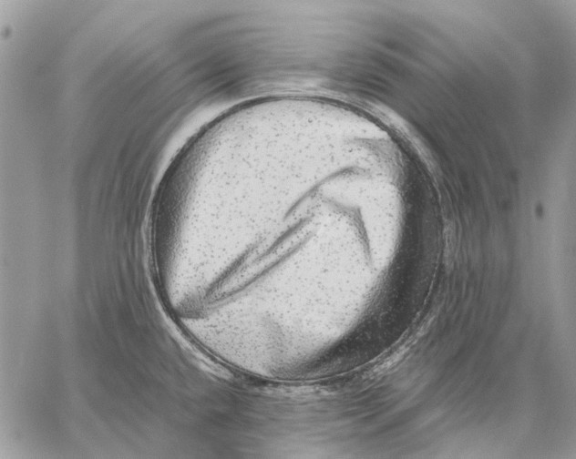 X0000058781432200510211737